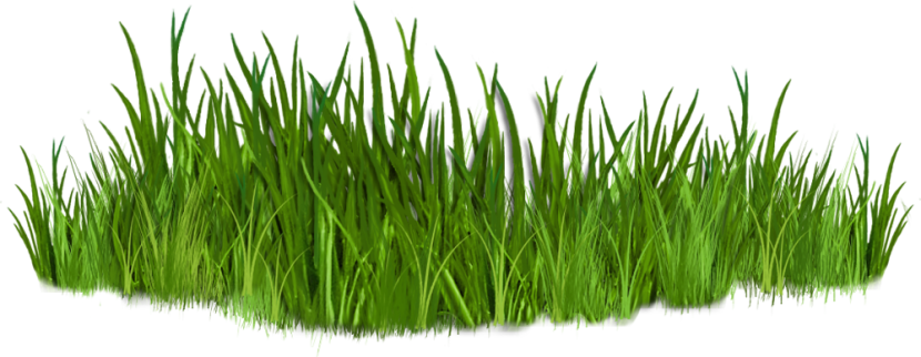 Grass clipart 0