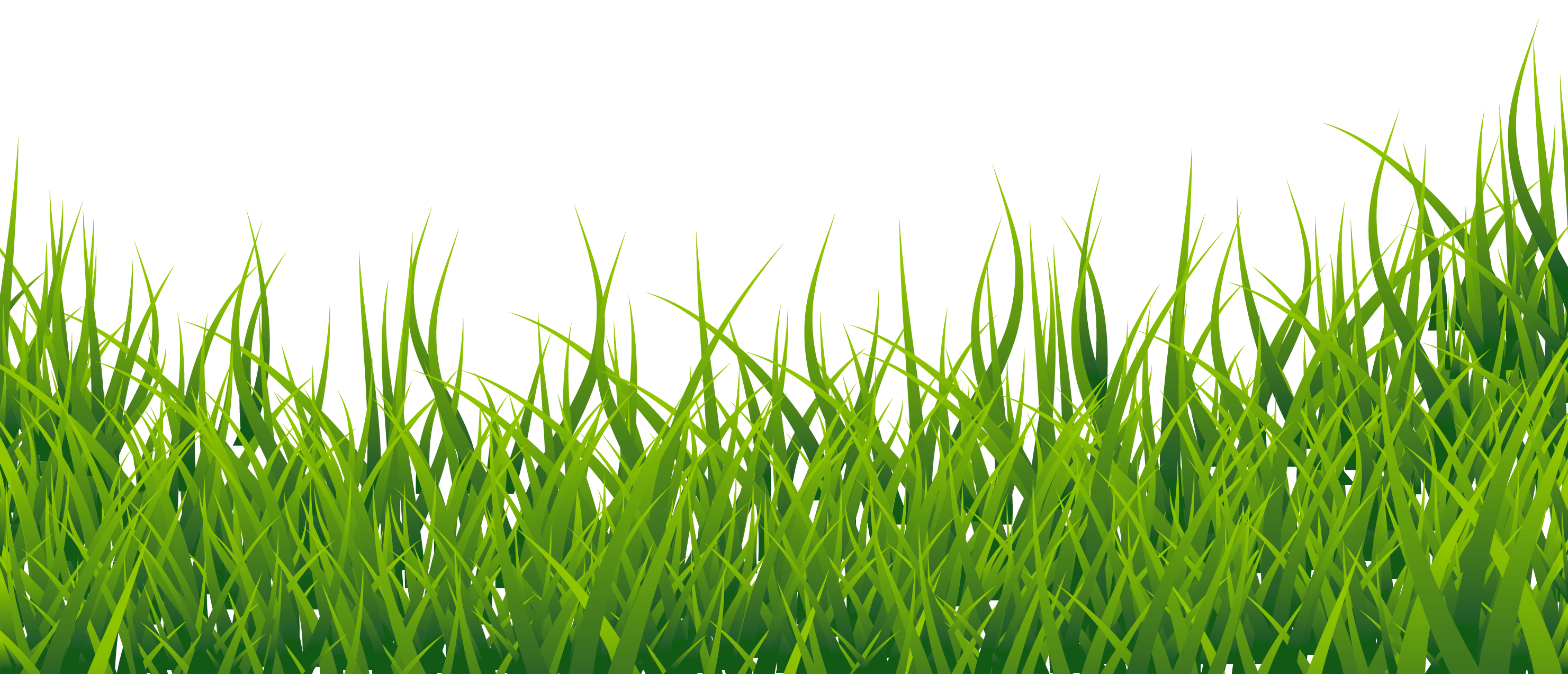 grass-clipart-2-wikiclipart