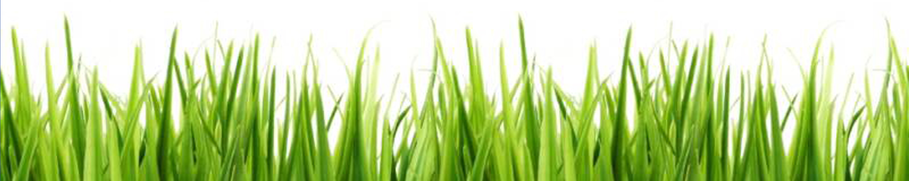 Grass clipart black and white free images 3