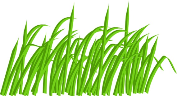 Grass clipart free to use clip art resource