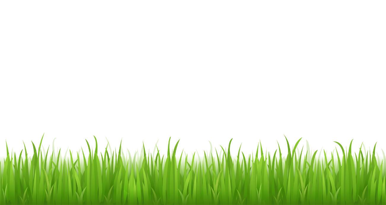 Grass clipart picture for bottom design