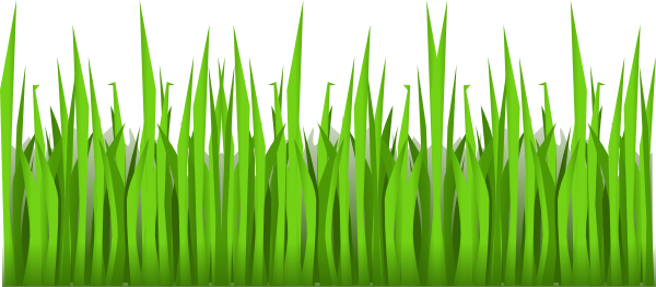 Grass clipart transparent free images 2