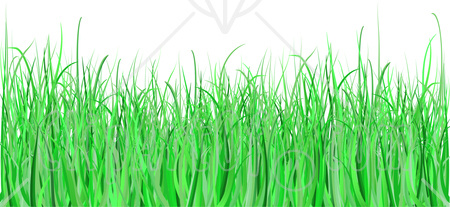 Grass clipart transparent free images 4