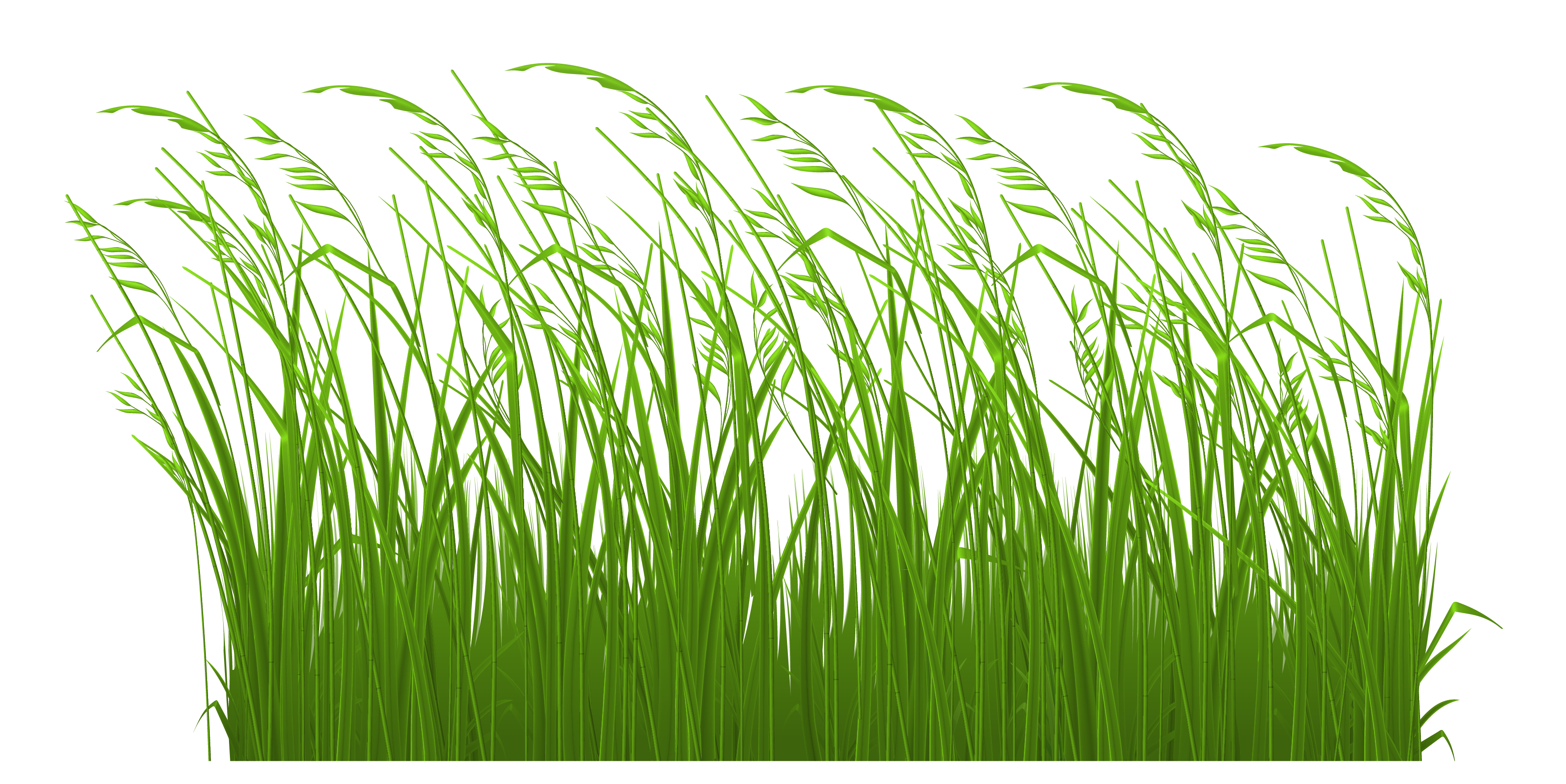 Grass clipart transparent free images