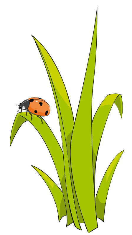 Grass free to use clipart