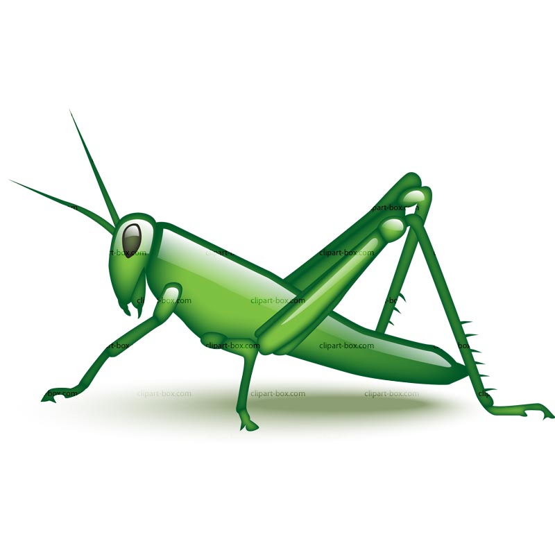 Grasshopper clip art free clipart images