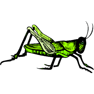 Grasshopper clipart cliparts of free download wmf 2