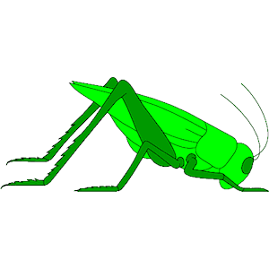 Grasshopper clipart cliparts of free download wmf