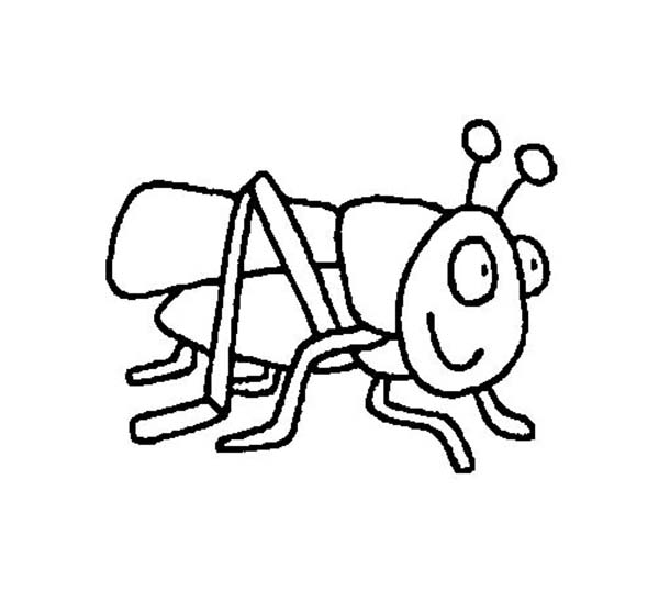 Grasshopper clipart coloring page
