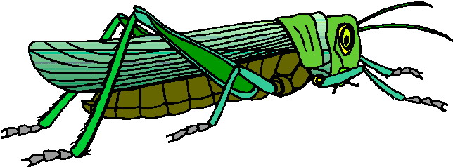 Grasshoppers animated images s pictures clipart 2