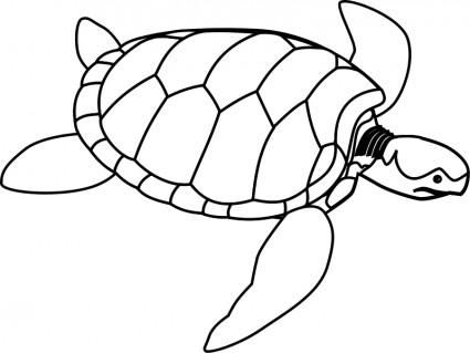Green sea turtle clip art free vector in open office drawing svg 2