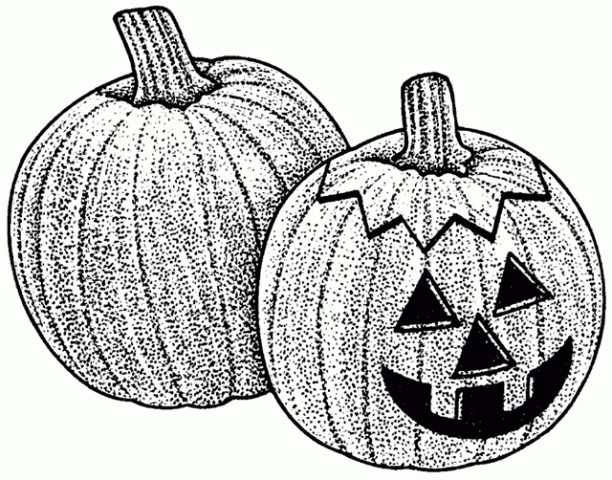 Halloween  black and white pumpkin clipart black and white 2