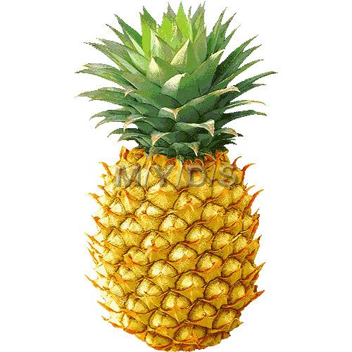 Hawaiian pineapple clipart free clip art images image 0 4