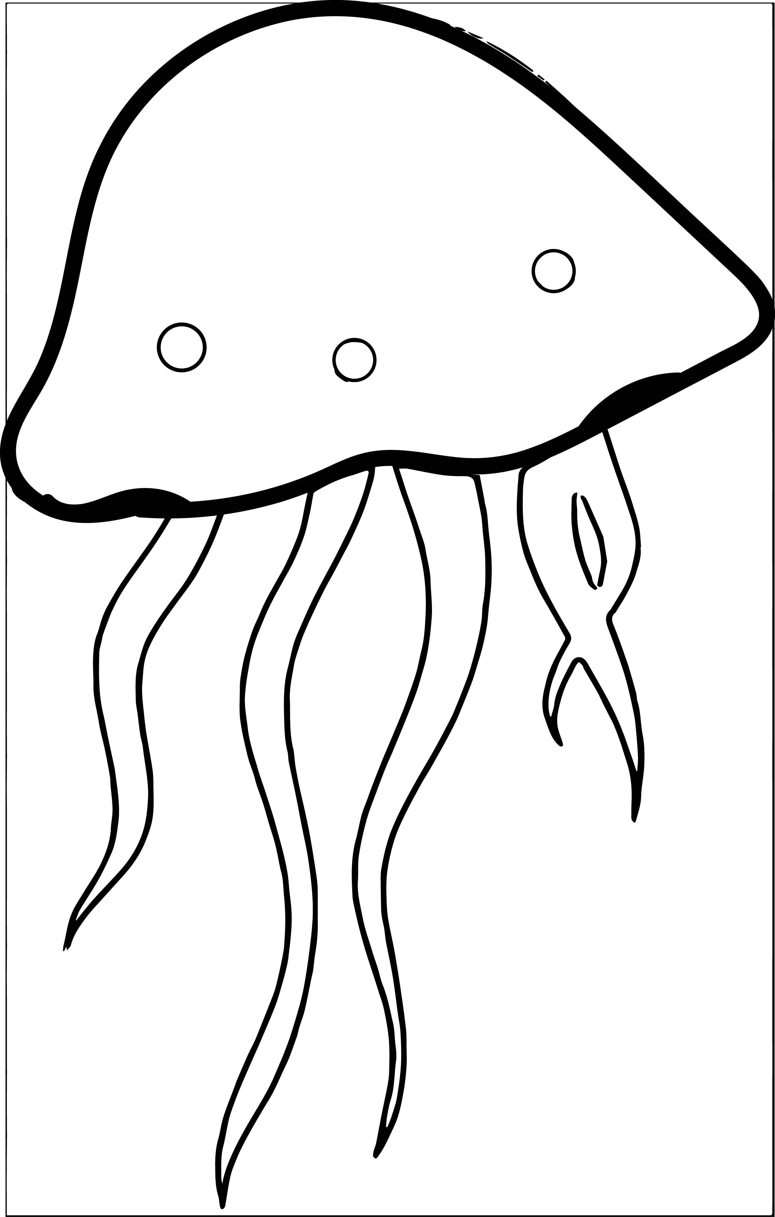 Jellyfish clipart clip art image of a jellyfish 1 5 7