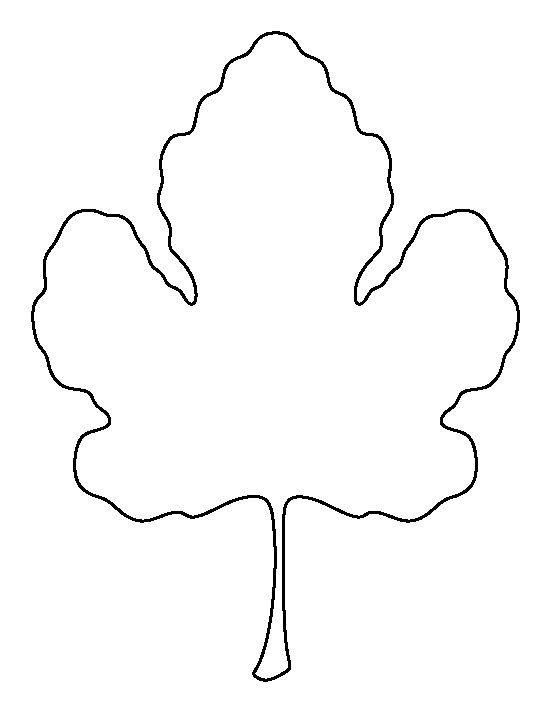 Leaf outline fig leaf pattern use the printable outline for crafts creating clipart