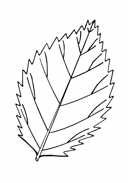 Leaf outline illustration clipart free