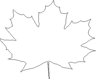Leaf outline pictures clipart free to use clip art resource