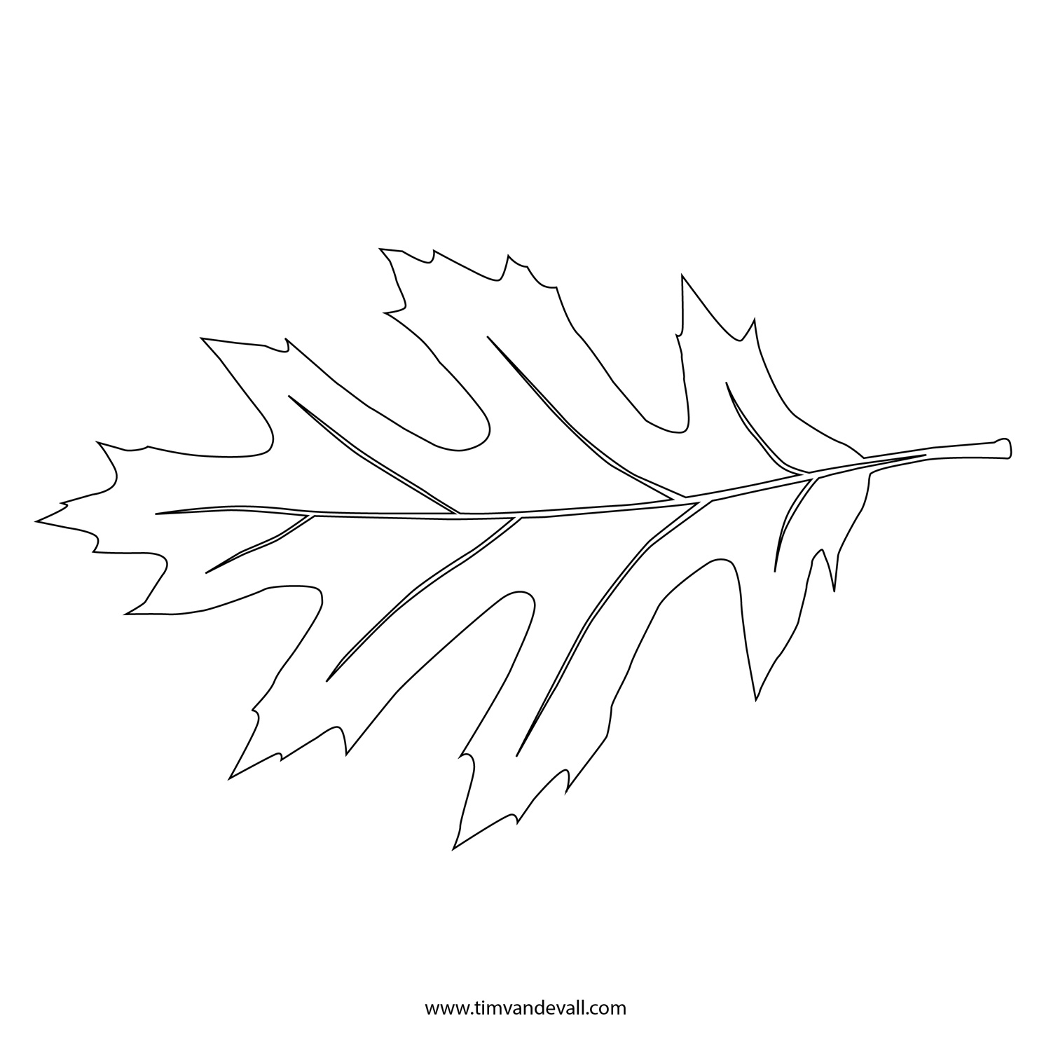 Leaf outline printable leaf stencil outline and silhouette clipart