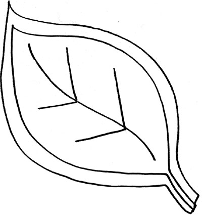 Leaf outline template clipart 2
