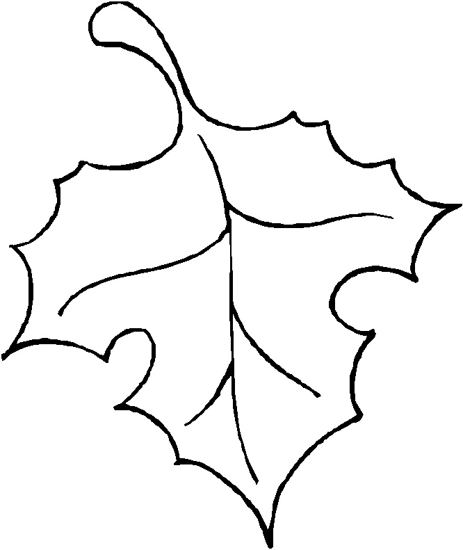 Leaf outline tree outline with leaves clipart 3