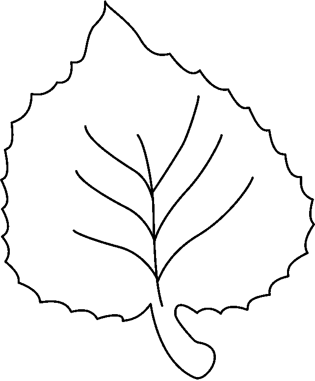 Leaf outline tree outline with leaves clipart 5