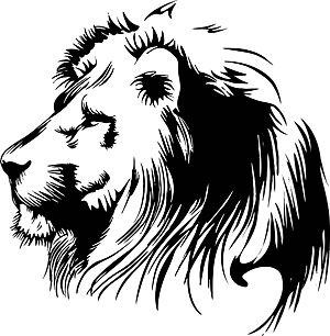 Lion  black and white black and white clipart to download