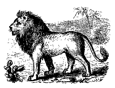 Lion  black and white free black and white lion clipart 1 page of clip art 2
