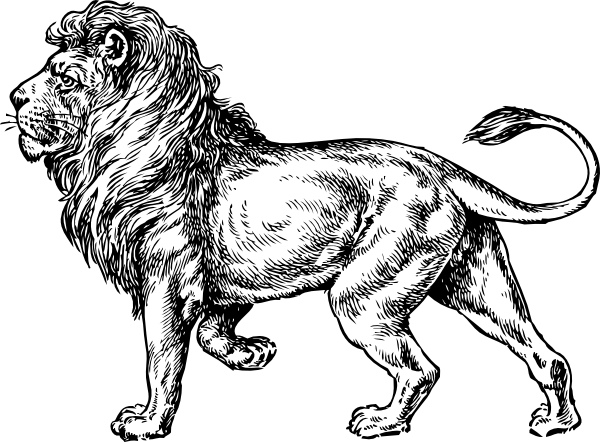 Lion  black and white lion clip art free vector in open office drawing svg