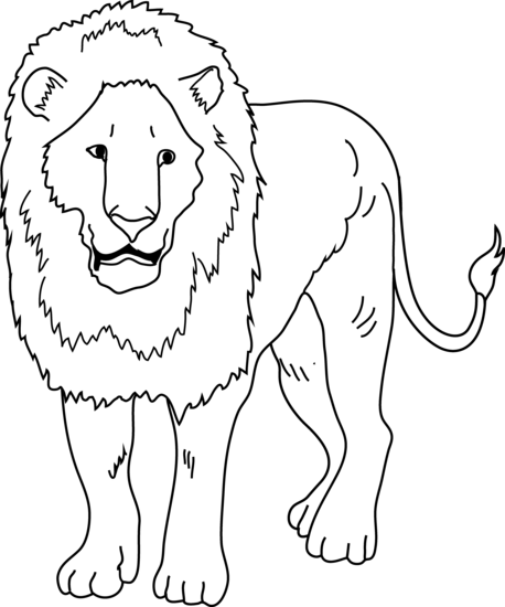 Lion  black and white lion coloring page free clip art