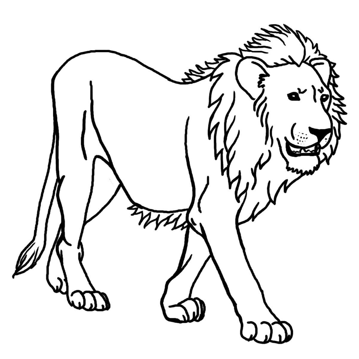 Lion  black and white lion outline clipart