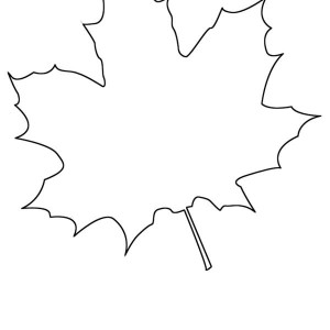 Maple leaf outline coloring page clipart