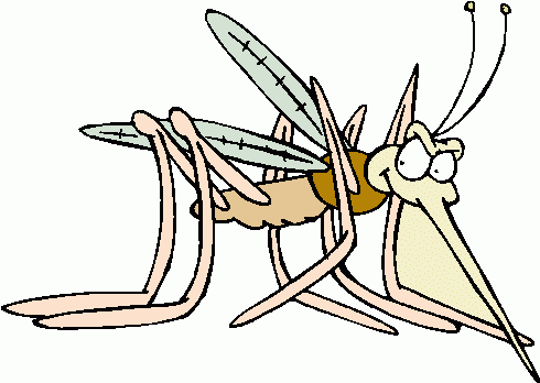 Mosquito animation clipart