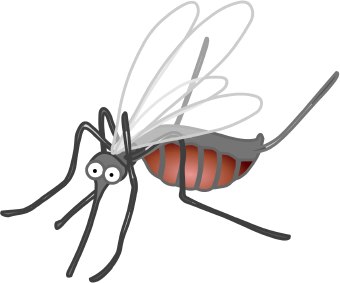Mosquito clip art images free clipart