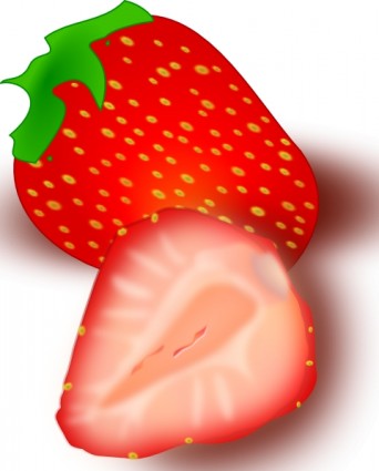 Outline strawberry clip art free vector in open office drawing svg