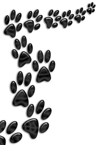 Paw print tattoos on dog paw prints scroll clipart 3 5