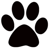 Paw print wildcats on dog paws paw tattoos and clip art image - WikiClipArt