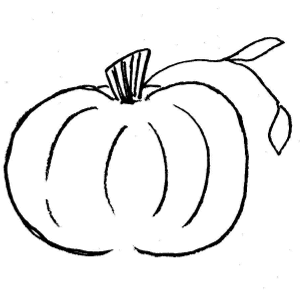 Pumpkin  black and white white pumpkin clipart 5