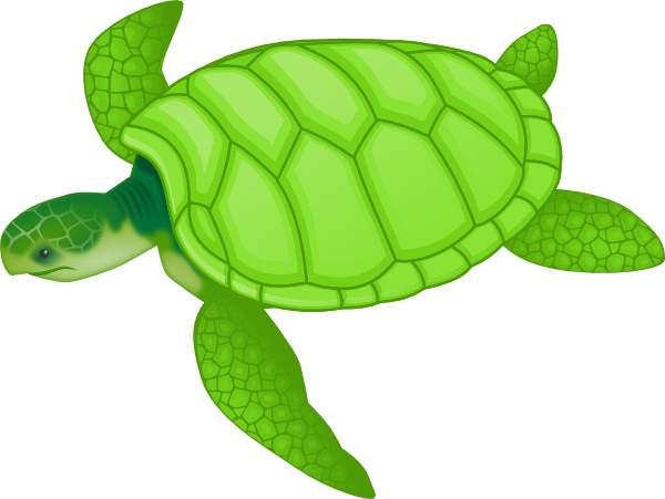 Sea turtle clip art free 2