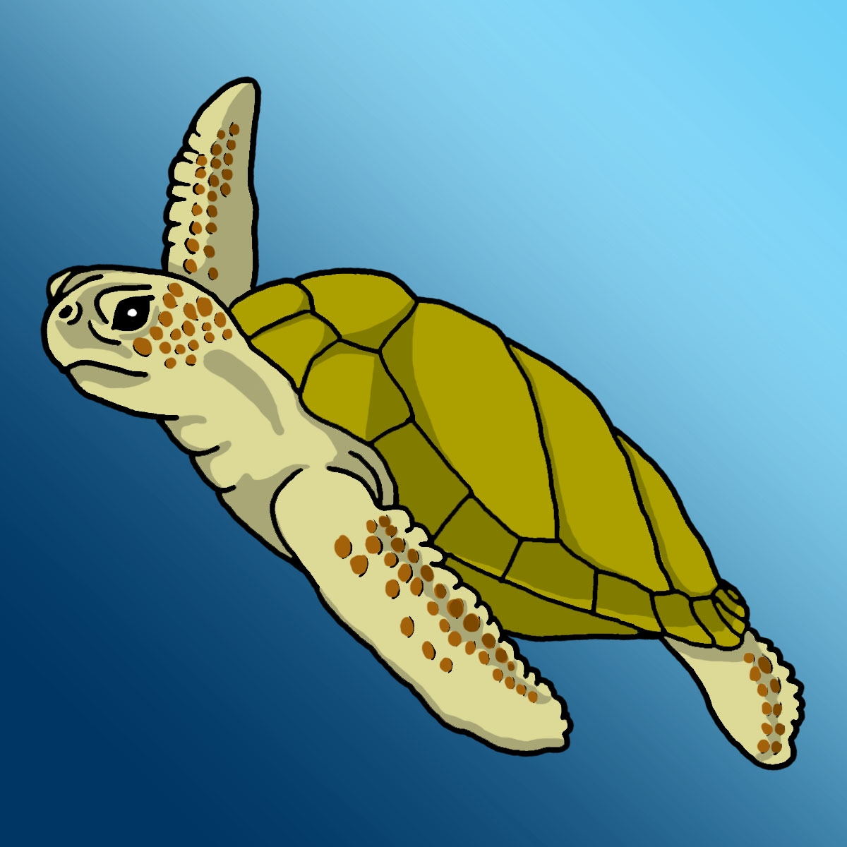 Sea turtle pin by charity elise designs on clip art for cakes