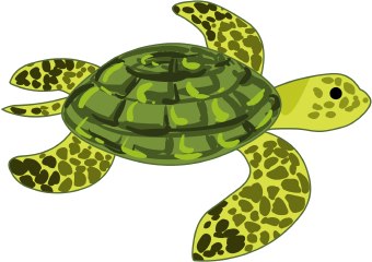 Sea turtle swimming turtle clipart
