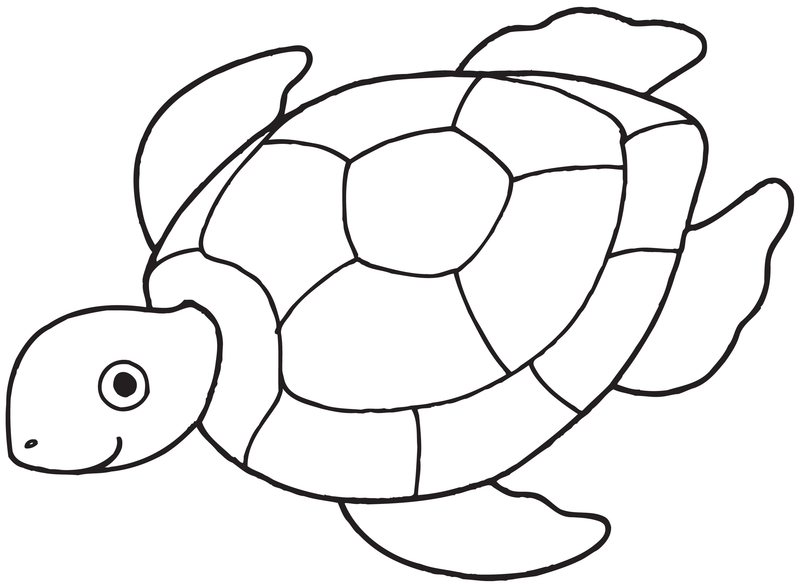 Sea turtles printable clipart