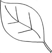 Simple leaf outline templates how to draw doodle clipart - WikiClipArt