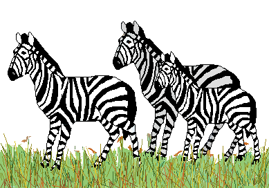 Smiling zebra clip art