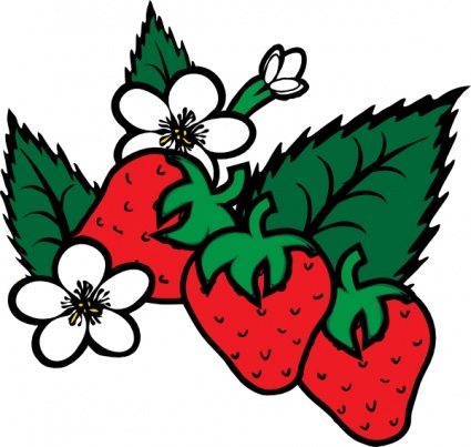 Strawberry clip art can stock free clipart images