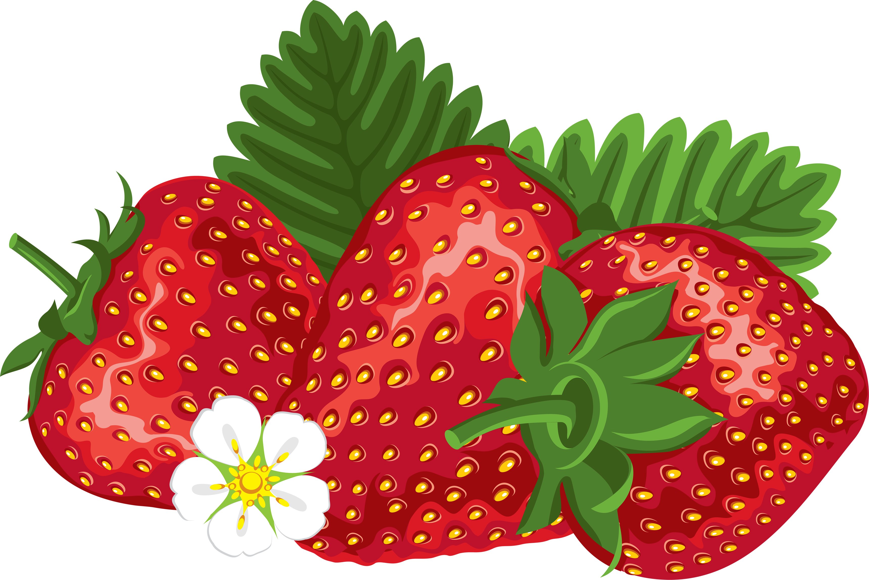 Strawberry farmer strawberries clipart free clip art images image 4