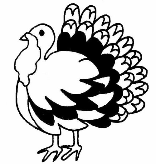 Turkey  black and white thanksgiving clip art black and white