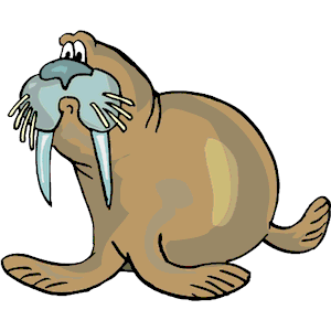 Walrus clipart cliparts of free download wmf emf