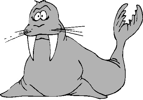 Walrus clipart free clipart images 2