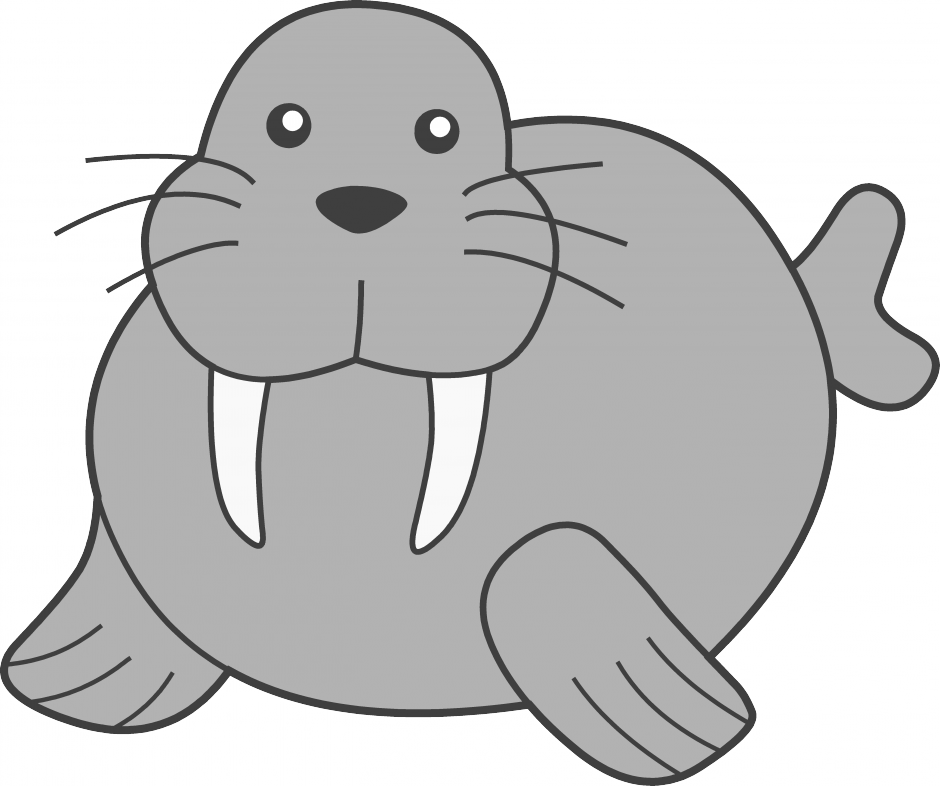Walrus clipart free images