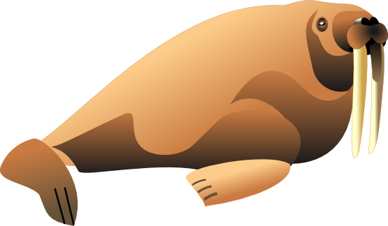 Walrus free to use clip art